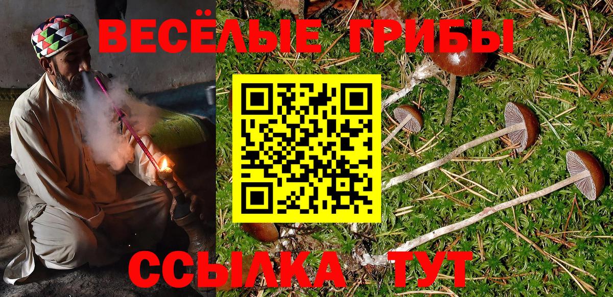 Псилоцибиновые грибы GOLDEN TEACHER Касимов