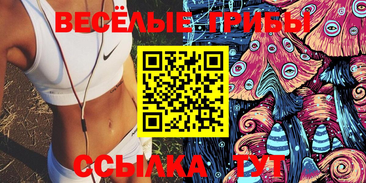 Касимов  Псилоцибиновые грибы MAGIC MUSHROOMS  Вход с VPN  Псилоцибиновые грибы мицелий 